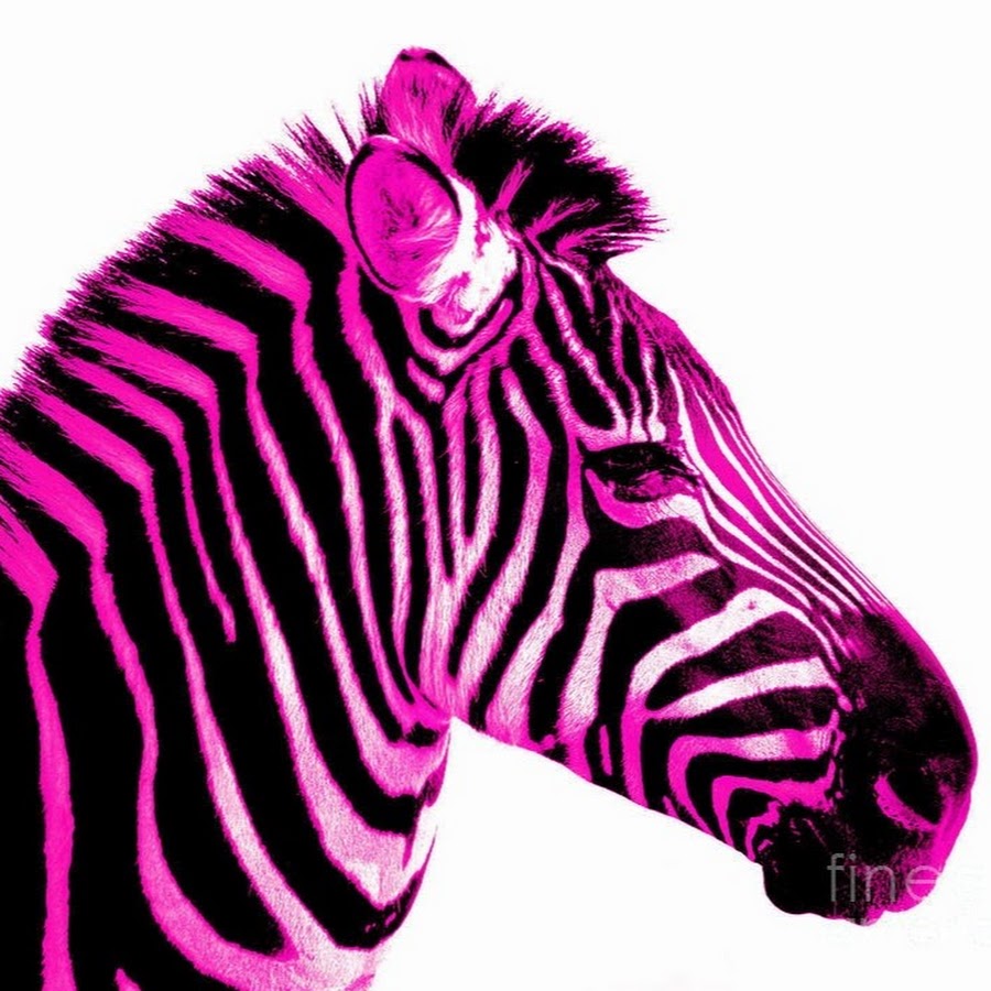 Pink Zebra - YouTube.