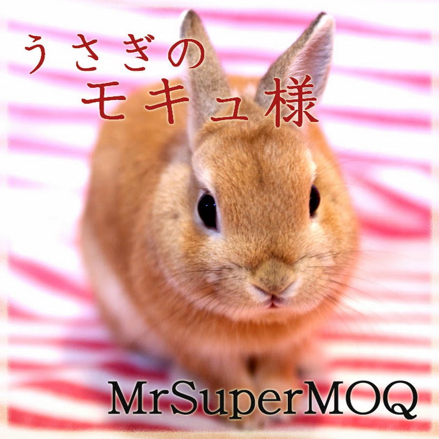 Mrsupermoq Youtube