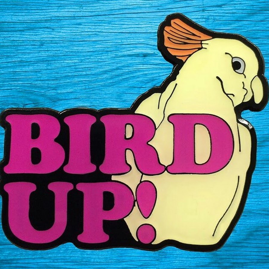 Bird up. Bird up. Bird up. Что значит bird up. Bird up.