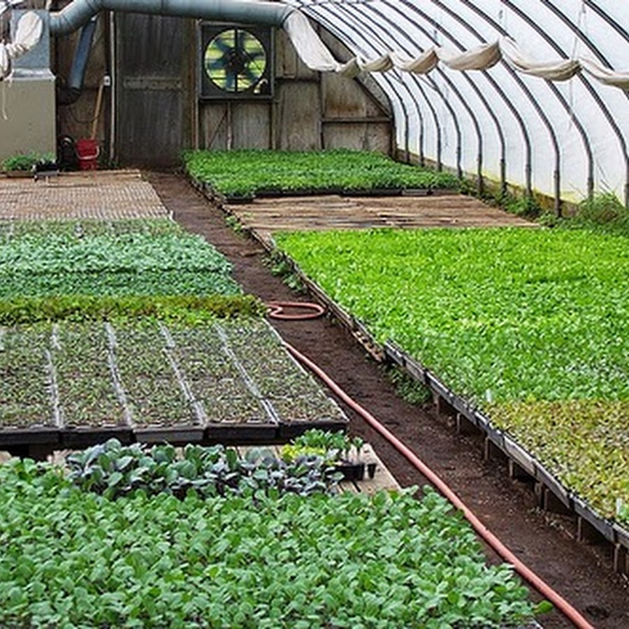 AKedOLRfWToRdPxPzlc1lo9IVBJLvG1f20Fyn0Qjqb1m=s900ckc0x00ffffffnorj