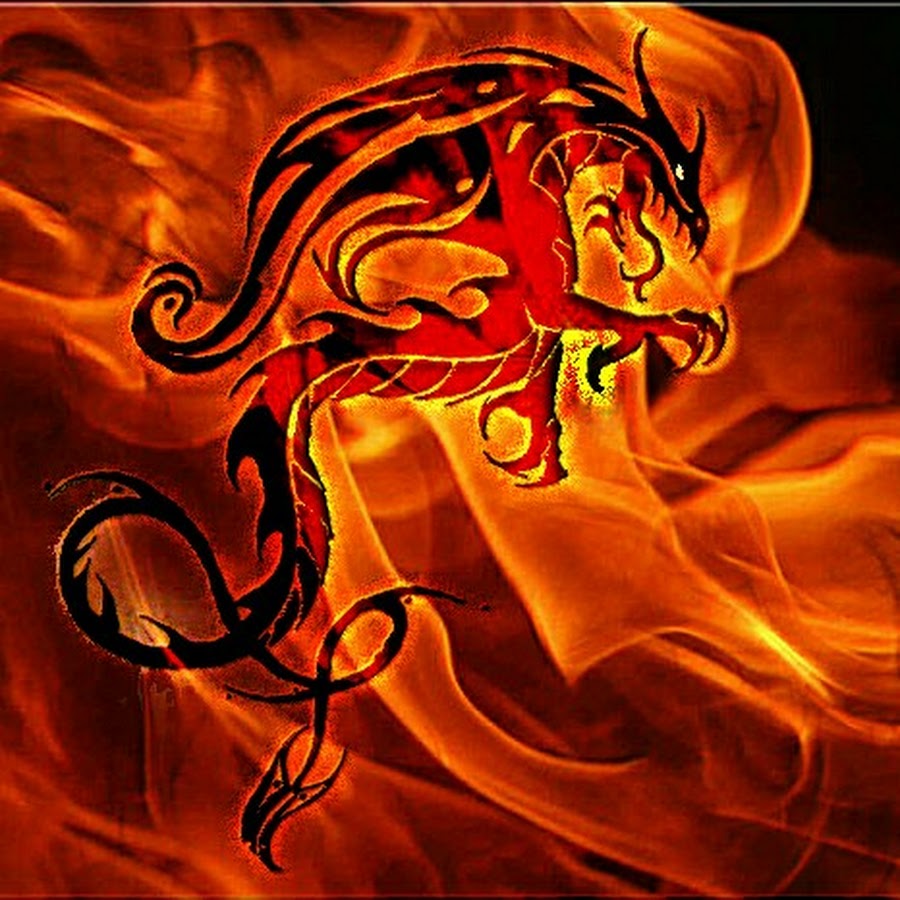 Саламандра огненная мифология. Стихия саламандры. Саламандра — огненная ящерица. Саламандра элементаль огня. Огненная саламандра.