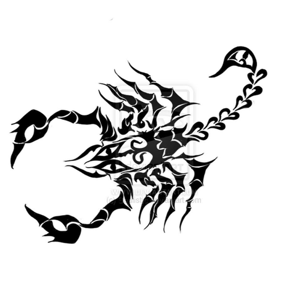 Скорпион тату эскиз. Тату дракон и Скорпион. Эскиз тату дракон и Скорпион. Татуировки для мальчиков на белом фоне