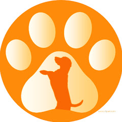 Thumbnail of related channel