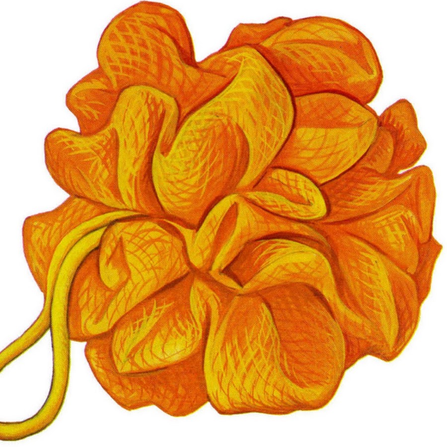 Мочалка рисунок для детей