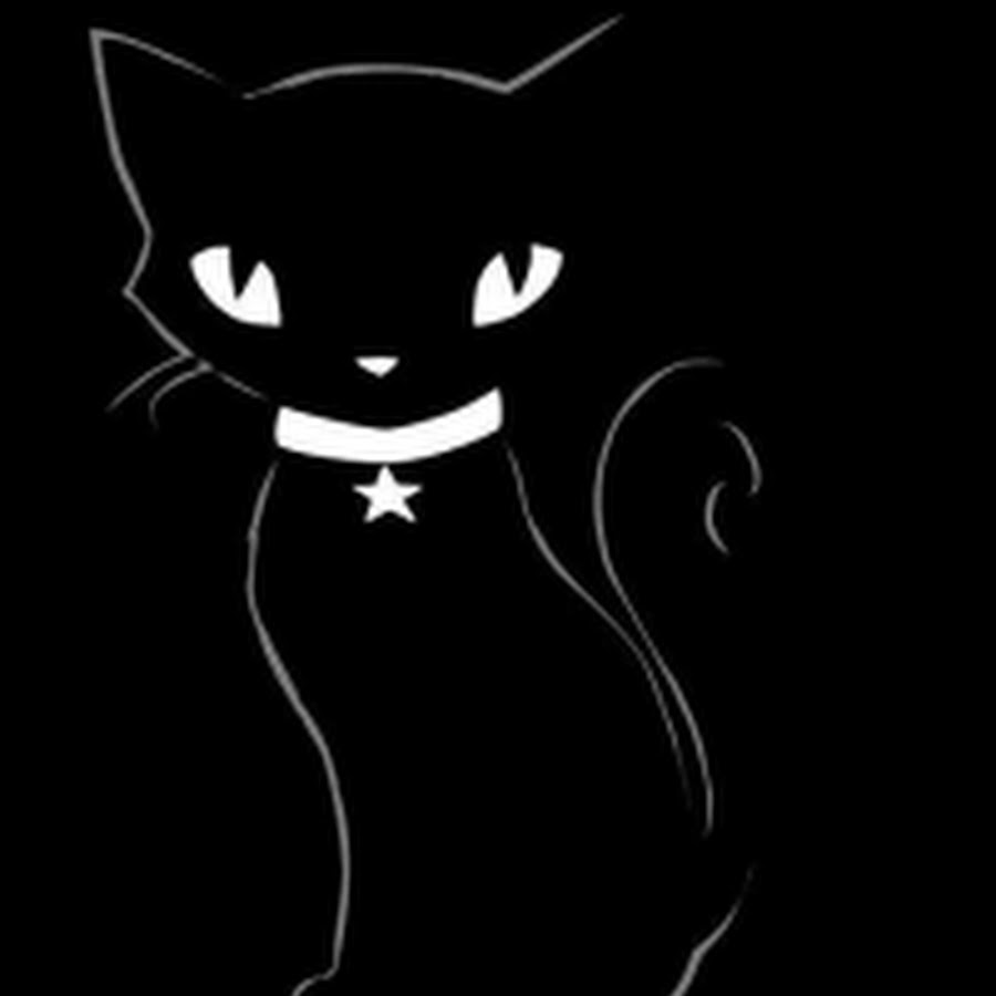 Аватар черный кот. Черная аватарка. Аватарка кот. Аватарка черный кот. Черная кошка на аву.