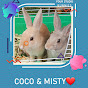 Coco and Misty YouTube Profile Photo