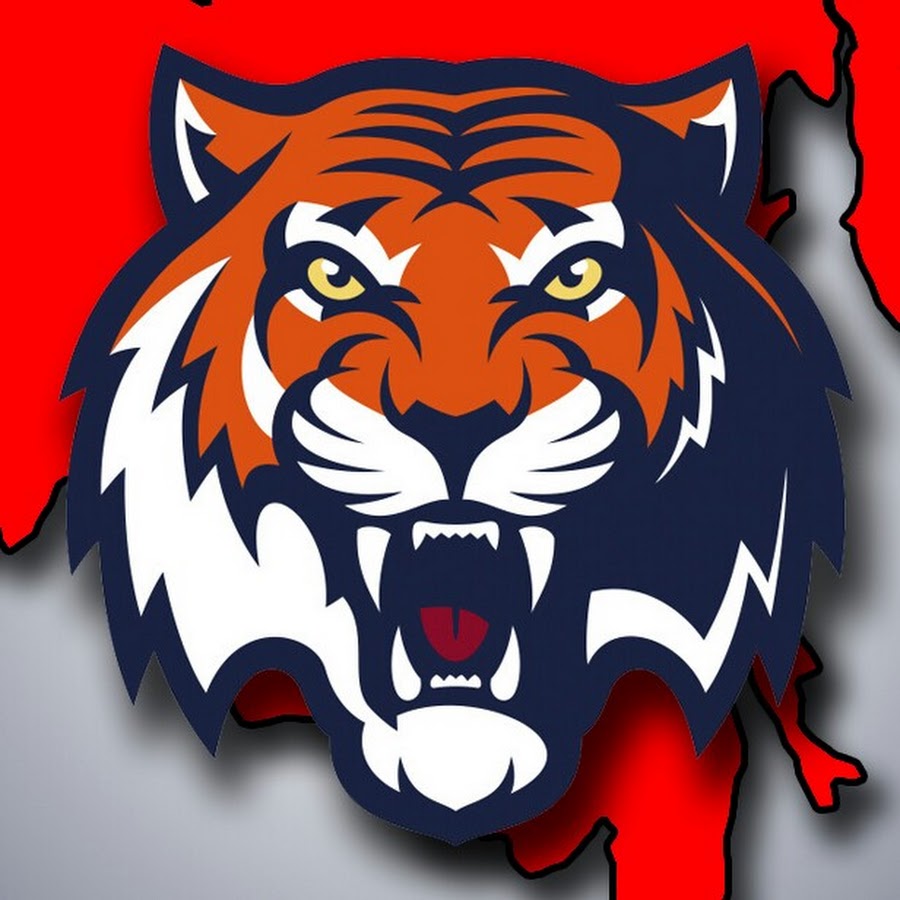 амурские тигры хк форма. хк тигры тула. амурские тигры хоккейный клуб. амурские тигры хоккейный клуб логотип. хк тигры.