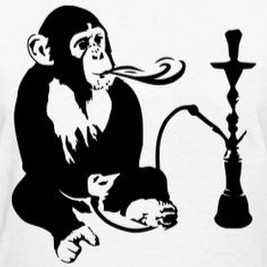 Обезьяна с кальяном картинки