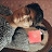 39. SRISTI SAHA Avatar
