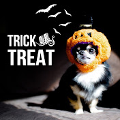 ひゃくえん Youtube