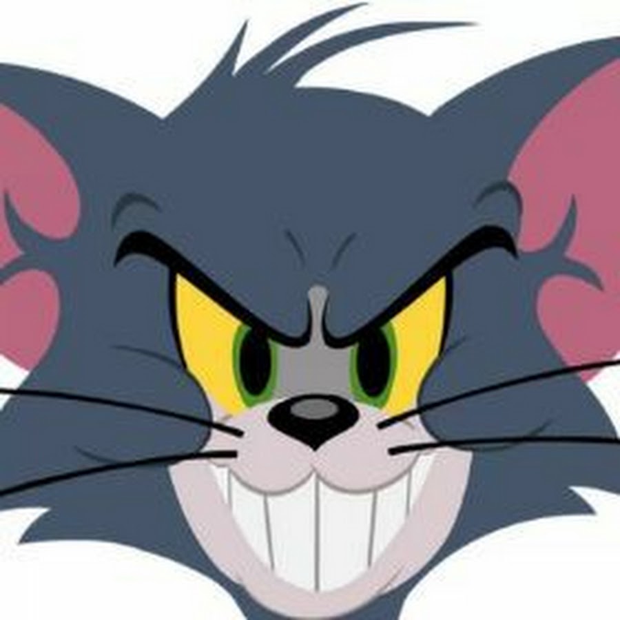 Том и джерри голова тома. Кот из том и Джерри. Злой том из том и Джерри. Лицо Тома. Том и Джерри лицо.
