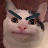 애옹