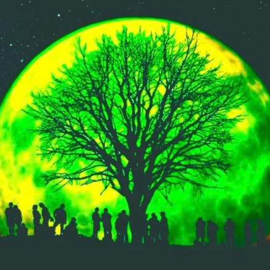 Есть зеленая луна. Зеленая Луна. Зелёная Луна явление. Луна и дерево. Зеленое полнолуние.