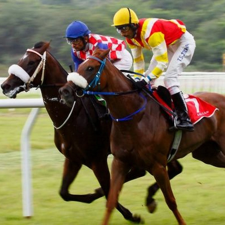 Horse race betting in hyderabad india best sports handicappers on twitter 2021