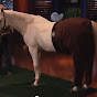 Business Horse YouTube Profile Photo