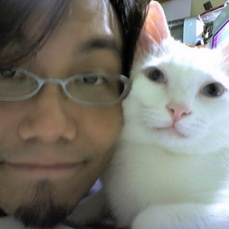 chen NEKO - 網紅的藏寶箱 