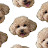 Hunyi에스더