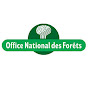 Comment travailler dans les forêts ?