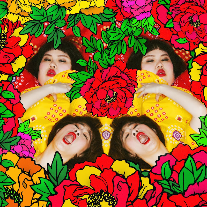 白文鳥 - 網紅的藏寶箱 