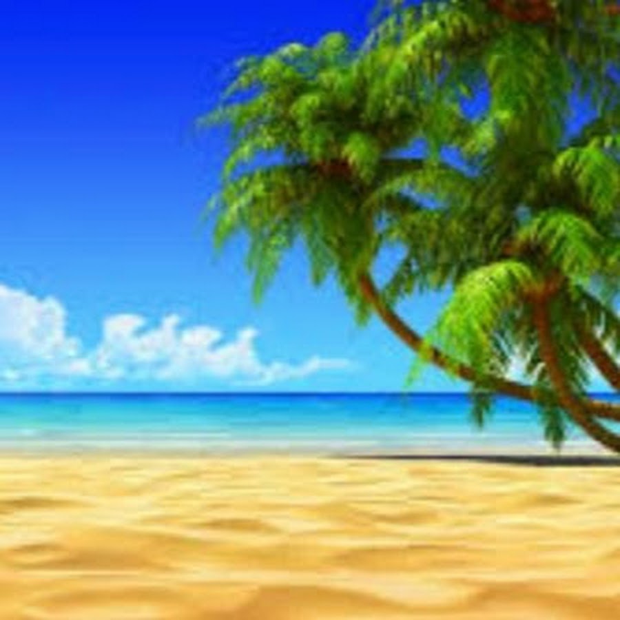 吉野 ありさ Youtube