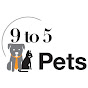 9 to 5 Pets YouTube Profile Photo