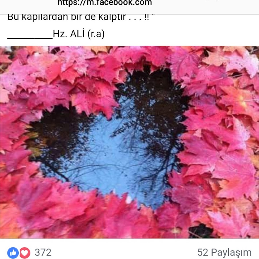 осень сердце картинки