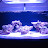Reefin Jess Avatar