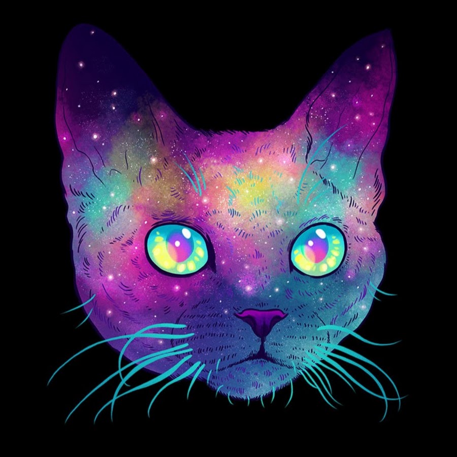 Кот арт