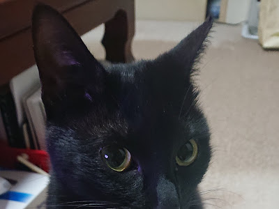 [ベスト] 植野真由 257491-植野真由子