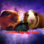 Arnold & Darwin YouTube Profile Photo