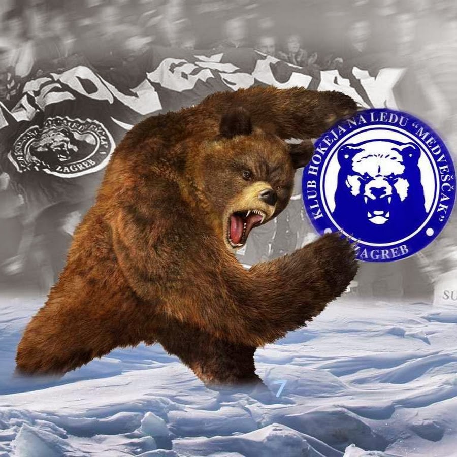 Неофициальный символ россии медведь. Русский медведь. Медведь символ. Русский медведь символ России.