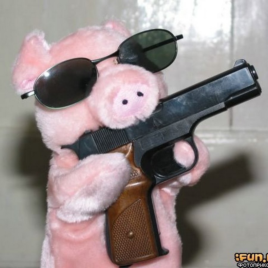 Свинья бандит. Свинья с пистолетом. Свинья с пушкой. Свинья с автоматом.