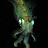 Bitter Cephalopod