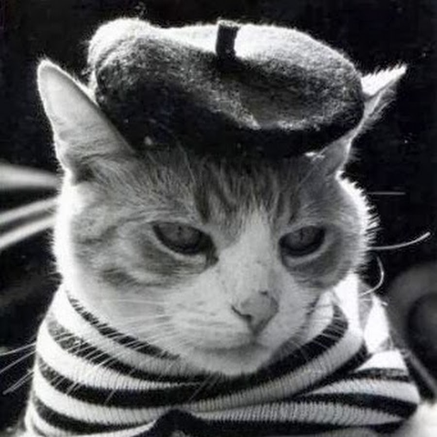Мем с французским котом