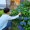 ししまるのお部屋