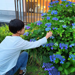 ししまるのお部屋
