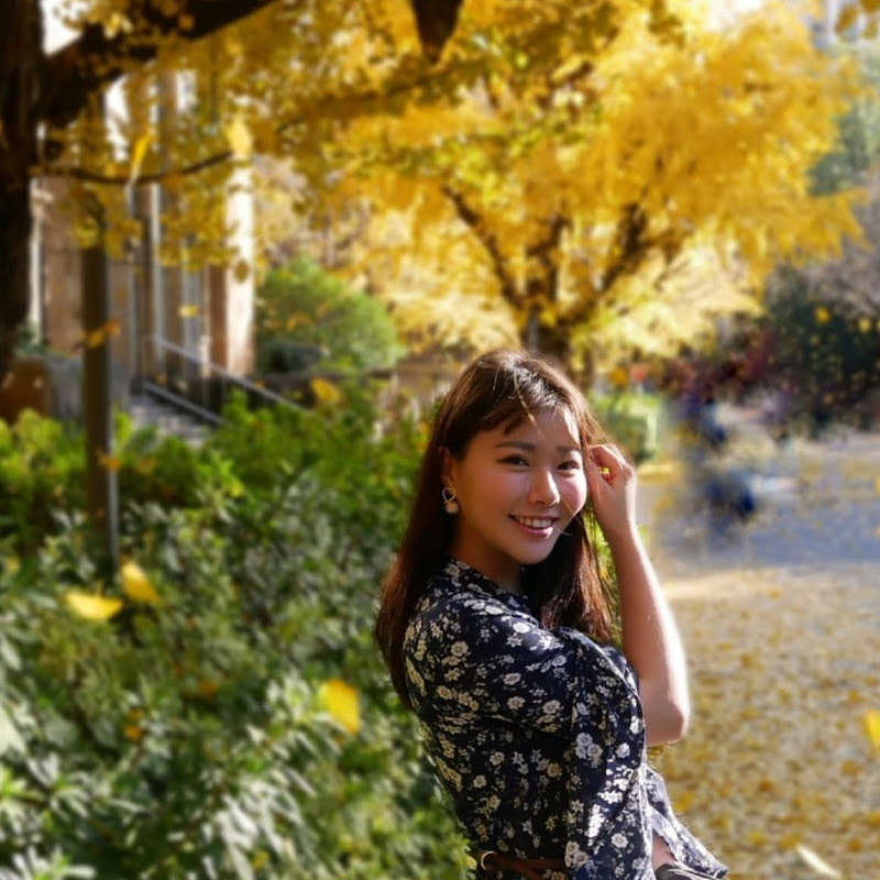 許秀玲 - 網紅的藏寶箱 