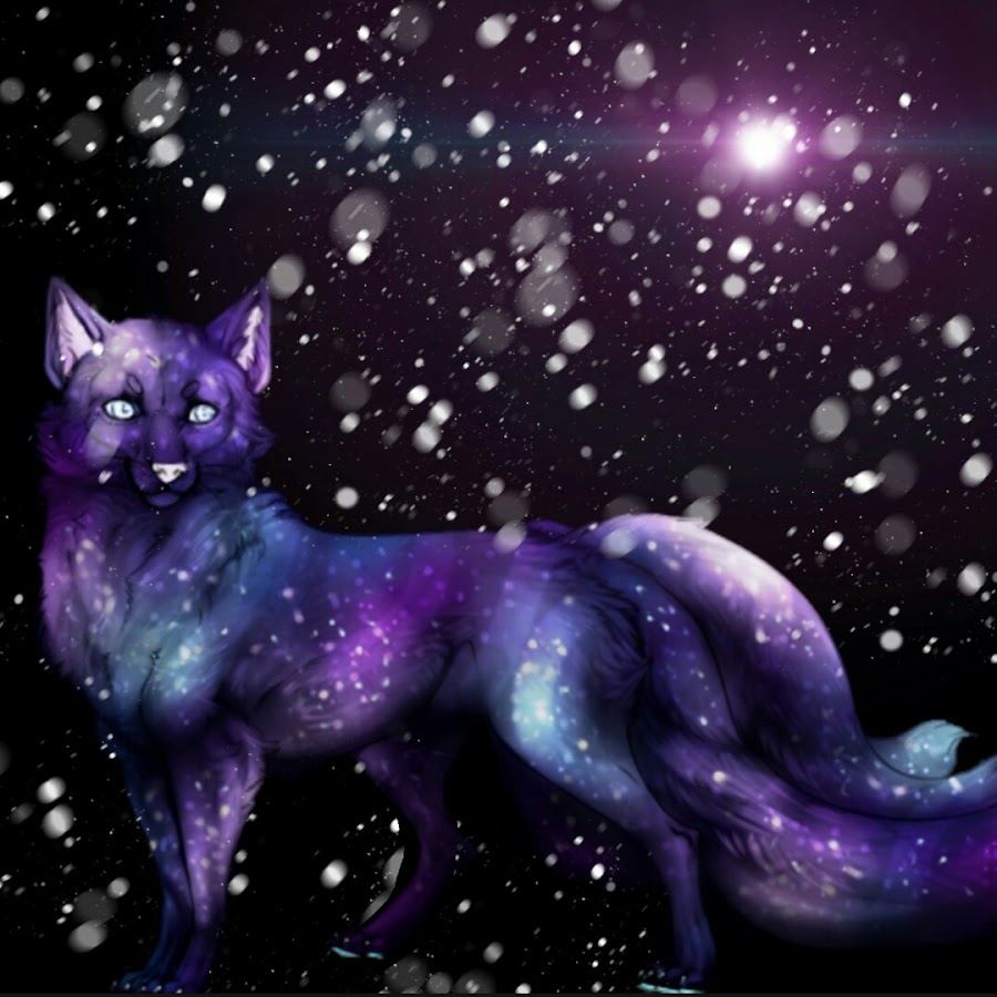 Galaxy Fox