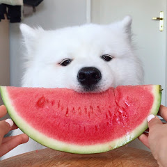 Thumbnail of related channel