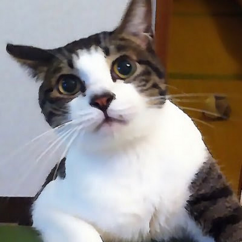 つみたてシータの人気動画 Youtubeランキング