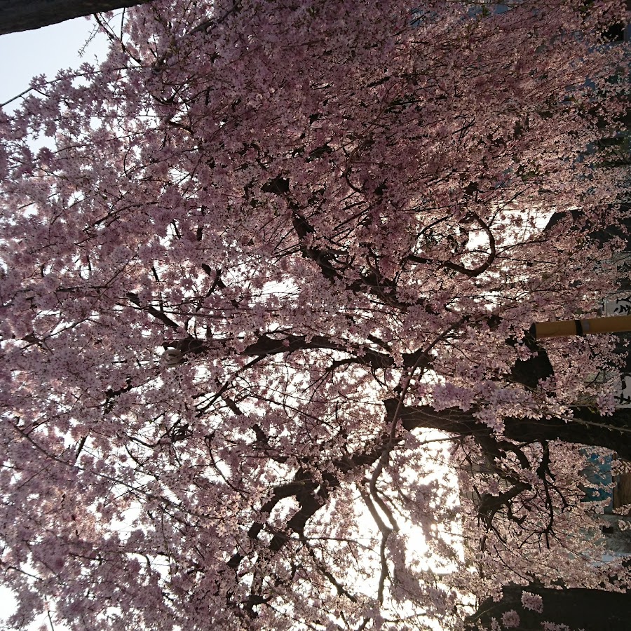 小林冴理 Youtube