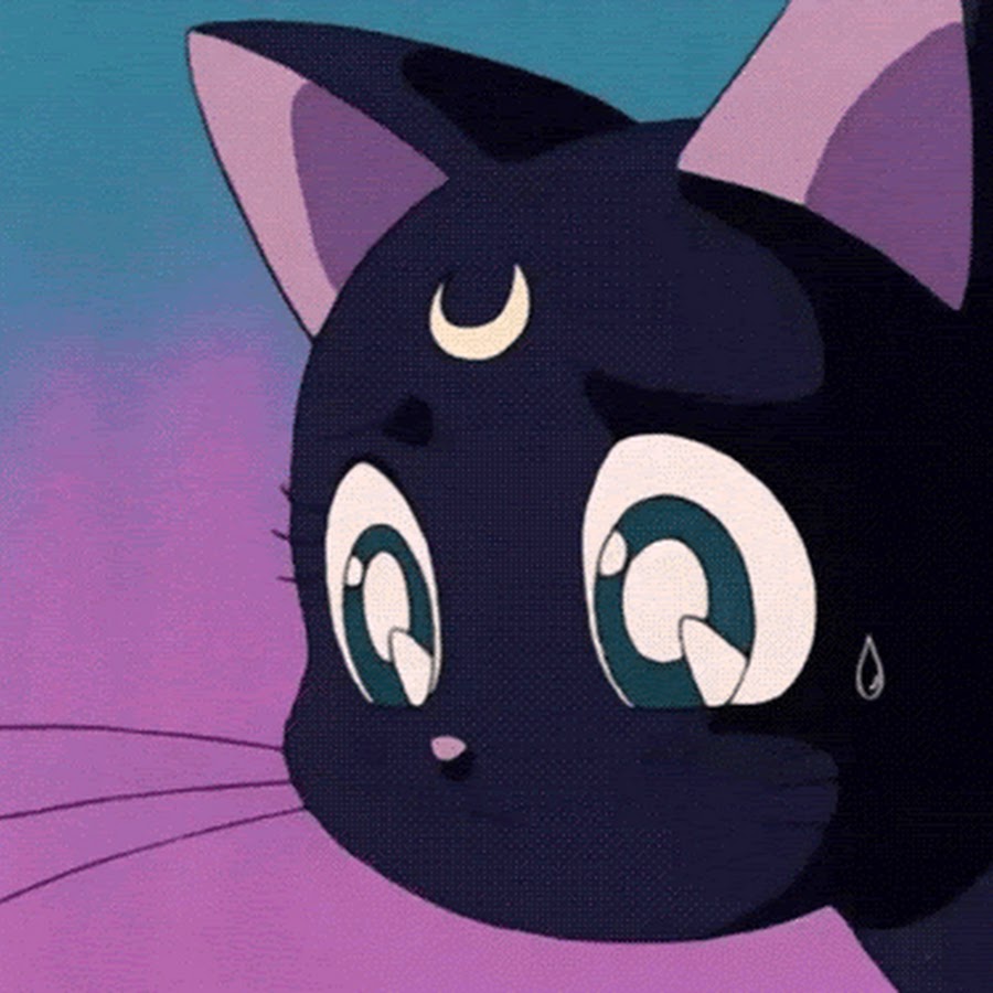 Sailor Moon Luna