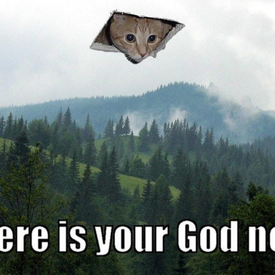 кот богоед. Time is over. Now. Sometimes later becomes never. Now is your.