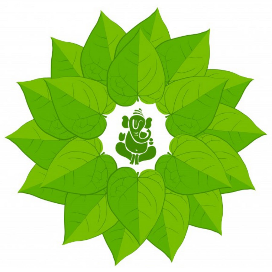 Paan logo vector