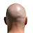 Bald Guy