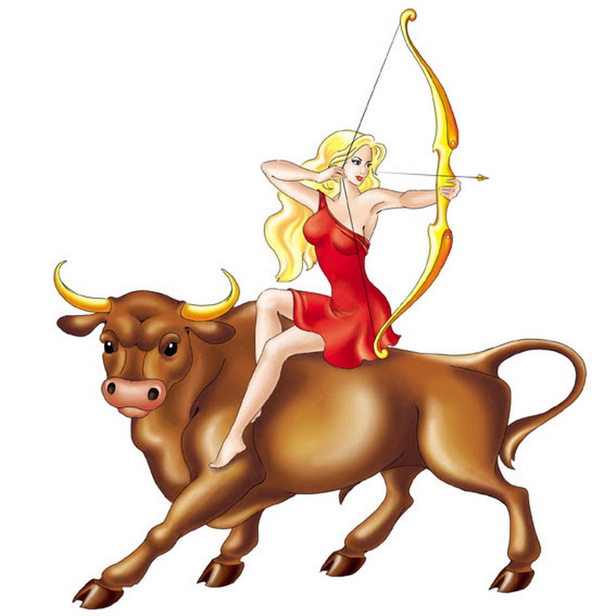 Бык стрелец стрелец. Стрелец бык женщина характеристика. Бык знак зодиака. Бык стрелец. Стрелец знака телец.
