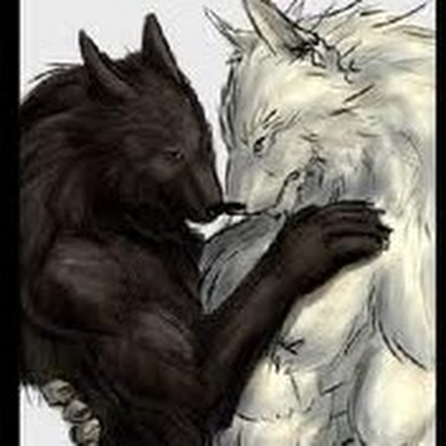 Два волка добро и зло арт