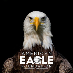 American Eagle Foundation thumbnail