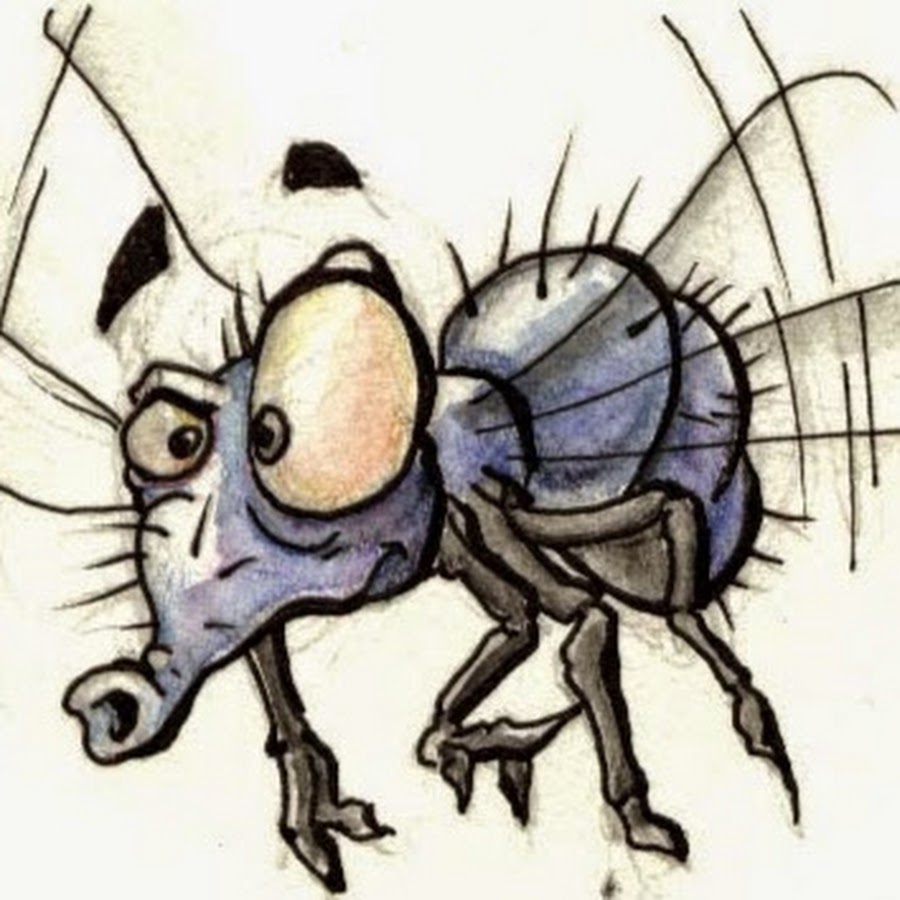 Эх молодежь жук картинка