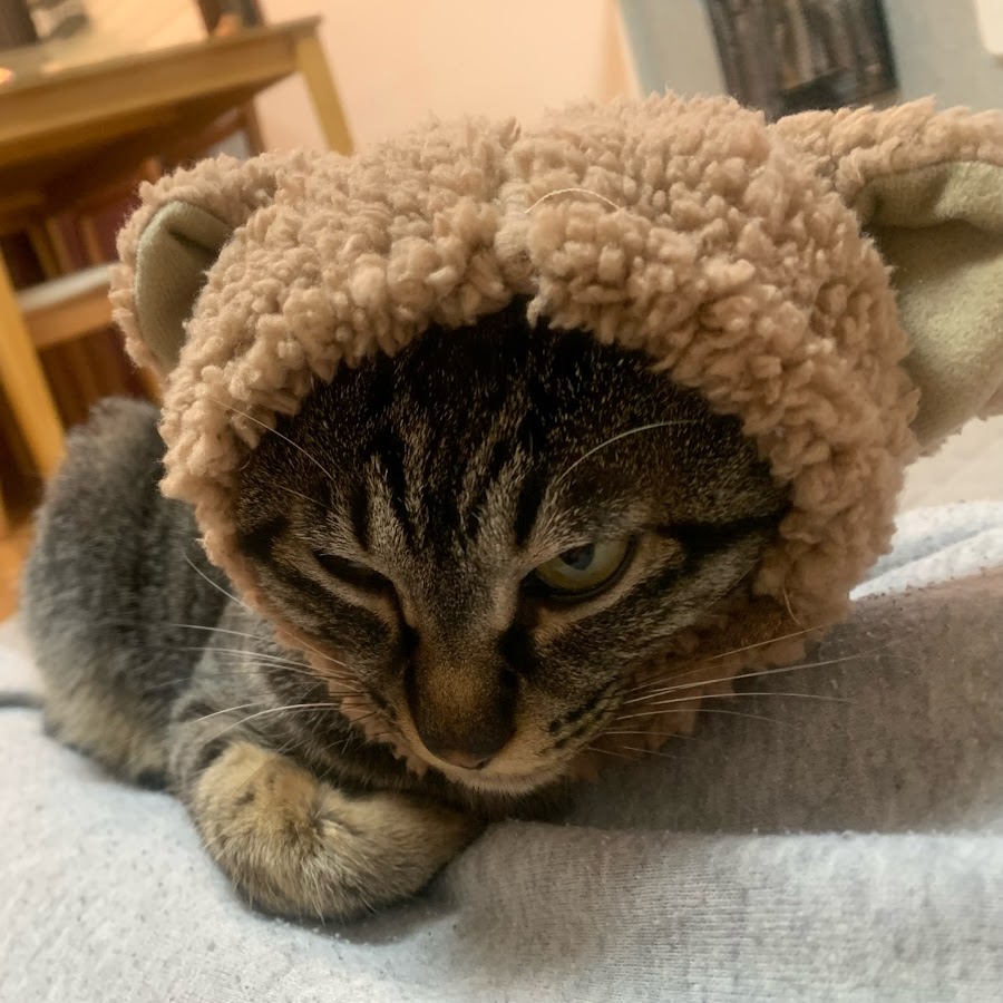 ことことゲームチャンネル Youtube